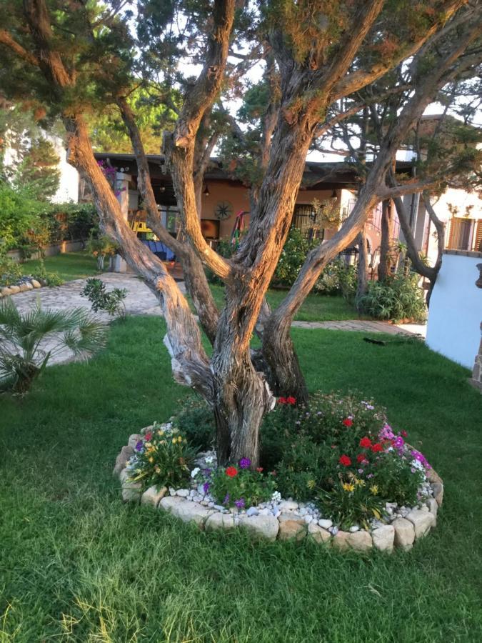 Villa Edo Cala Liberotto Kültér fotó
